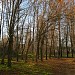 Бывший сквер в городе Старая Купавна