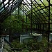 Greenhouse at the Middle School §5