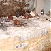 Morgue in Prypiat city