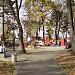Gradski park in Чачак city