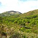 Natural Area Les Palmes Desert