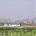 East line Brambanan Station in Klaten city