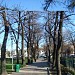 Grădina Publică în Piteşti oraş