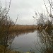 Озеро Карасёвое в городе Бугры