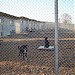 Приют за безстопанствени кучета in Бургас city