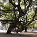 Parque España (es) in Buenos Aires city