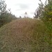 Burial trenches for trees of the Red Forest