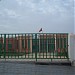 مستشفى الدراق في ميدنة بَرْكان 