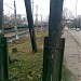 Деревянная опора линии связи (не используется) в городе Москва