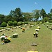 Cemitério Parque das Oliveiras na Mogi das Cruzes city