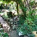 Mamulashvili's garden in Mtskheta city