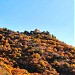 Shio Mghvime Church of the Ascension in Mtskheta city