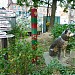 Памятник пограничному псу Ингусу в городе Владивосток