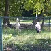 Grădina Zoologică în Craiova oraş