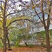 Ташкентская ул., 180 в городе Самара