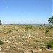 Ruines of ancient Greek city Tyras