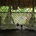 NYMISARANYAM (A Place for Meditation)