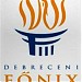 Debreceni Főnix Csarnok in Debrecen city