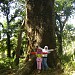 Kebun Raya Purwodadi Jawa Timur