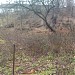 Вербовая ул., 24 в городе Могилёв