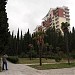 Сквер с пальмами и елями (ru) in Alushta city