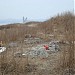 Несанкционированное кладбище домашних животных в городе Владивосток