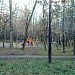 Сквер на территории спортивного комплекса «Кунцево» в городе Москва