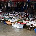 Fish market in Istanbul Metropolitan Municipality city