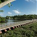 Floating Bridge