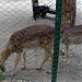 Former Zoological Garden of Kharkiv State Zoological and Veterinary Academy