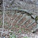 Обломки старинной винтовой лестницы  в городе Королёв