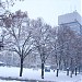 Трг Слободе in Зрењанин city