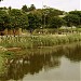 Parque Cidade de Toronto (pt) in São Paulo city