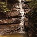 Parque Nacional da Tijuca (Setor A - Floresta da Tijuca) na Rio de Janeiro city