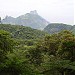 Tijuca National Park (Sector B - Carioca Range/Corcovado)