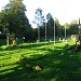 WWI War Cemetery Lesko