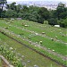 Cemitério do Horto Florestal na São Paulo city