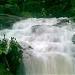 Arbi Falls