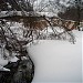 Пешеходный мост над устьем реки Язвенки в городе Москва