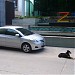 Z Through By The Zign Hotel in Pattaya City city