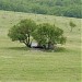 Артиллерийский дот № 65 в городе Севастополь
