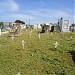 Cemitério - Plataforma na Salvador city