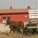 Nevşehir (il)