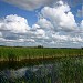 Big Cypress National Preserve