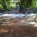 Cuale Island in Puerto Vallarta city