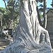 Saint-Pierre cemetery in Marseille city