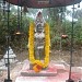 Agasthyamalai (1868 m), Kerala - Tamil Nadu border