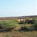 Warehouses