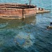 Oil slick from sunken USS Arizona