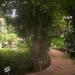 Jardin botanico Xmuch-Haltún (Baluarte de Santiago) en la ciudad de Campeche